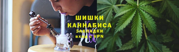 ПСИЛОЦИБИНОВЫЕ ГРИБЫ Нея
