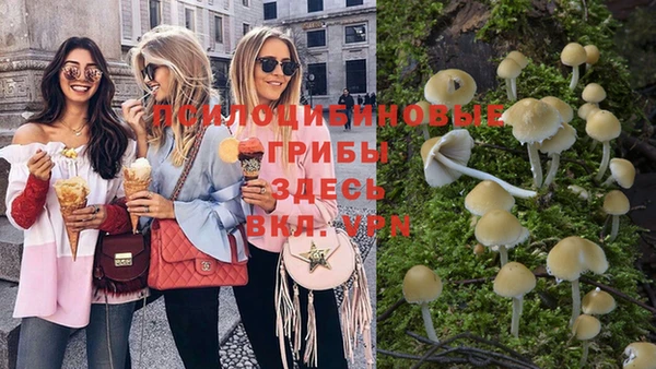 ПСИЛОЦИБИНОВЫЕ ГРИБЫ Нея