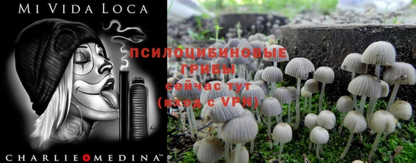 дурь Навашино