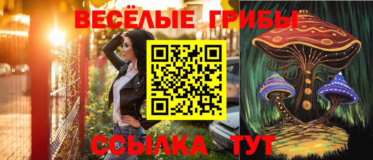 Рославль  Псилоцибиновые грибы мухоморы  Вход с VPN 